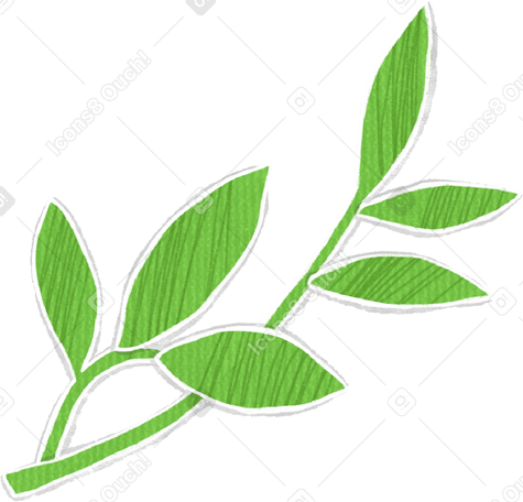 two branches with green leaves PNG, SVG