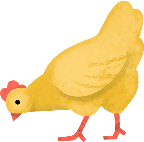 hen Illustration in PNG, SVG