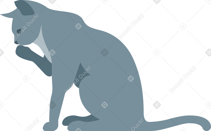 cat gray Illustration in PNG, SVG