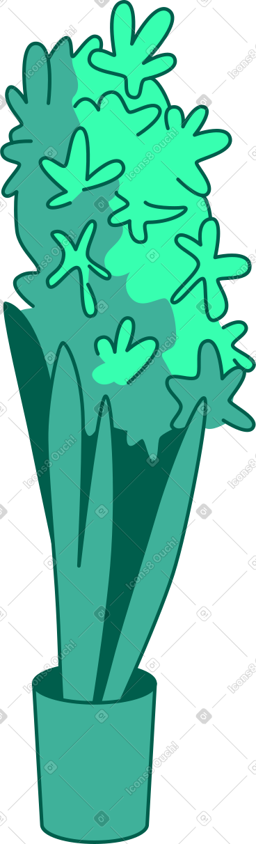 Hyacinth PNG, SVG