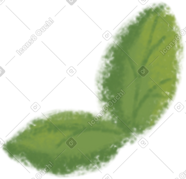 Leaf PNG, SVG