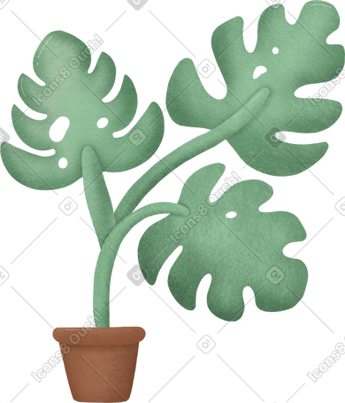 plant PNG, SVG