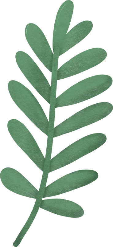 Palmblatt PNG, SVG