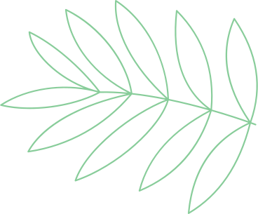 line tropical leaf PNG, SVG