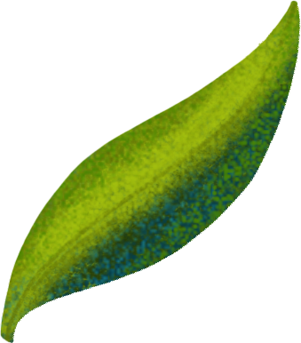 작은 녹색 잎 PNG, SVG