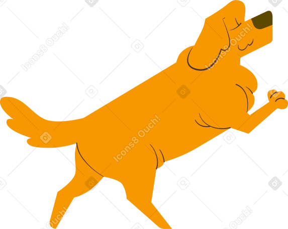 拉布拉多犬 PNG, SVG