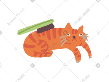 给猫梳理毛发 PNG, SVG