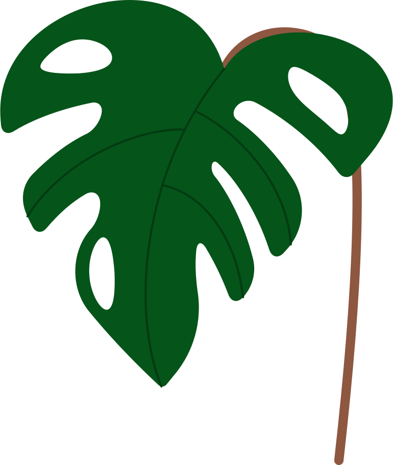 monstera plant Illustration in PNG, SVG