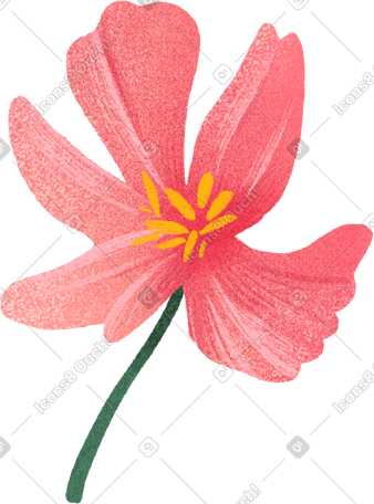 粉红色的花 PNG, SVG