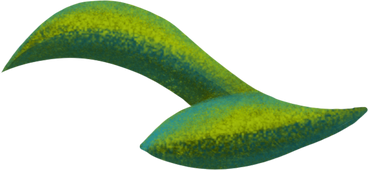 two curved green leaves PNG, SVG