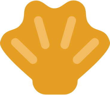 Coquillage PNG, SVG