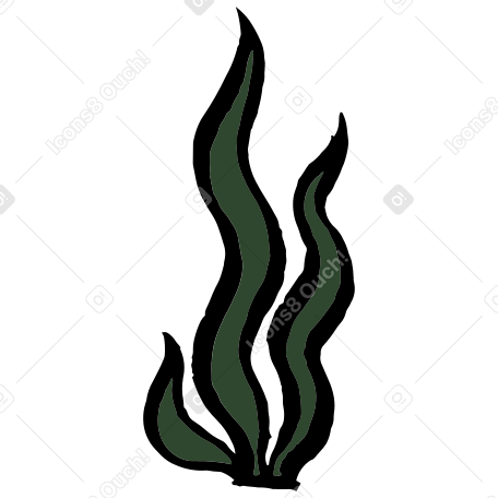 Морские водоросли в PNG, SVG