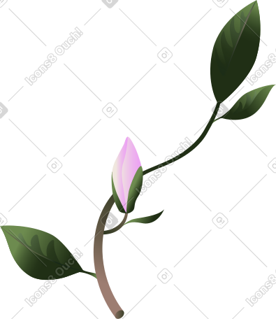 带芽的玉兰小枝 PNG, SVG