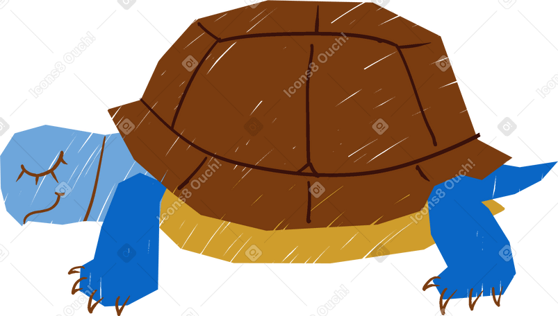 turtle Illustration in PNG, SVG
