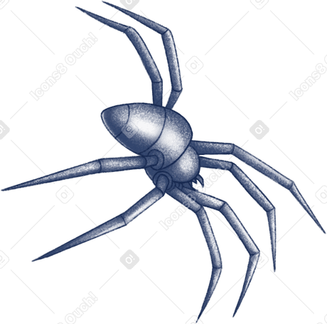 spider PNG、SVG