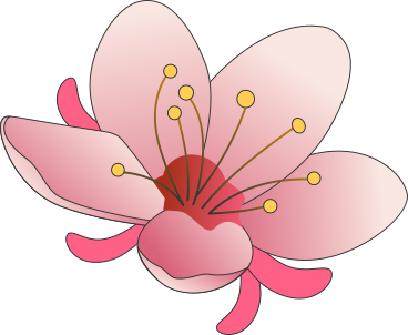 plum blossom PNG, SVG