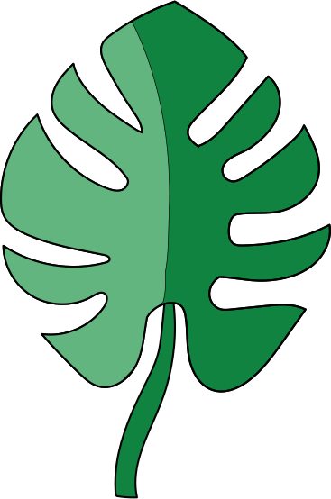 Folha de palmeira PNG, SVG