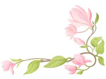 Corner composition with magnolia flowers PNG, SVG