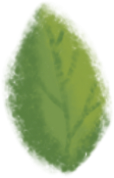 Leaf four PNG, SVG