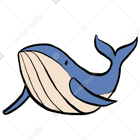 whale Illustration in PNG, SVG