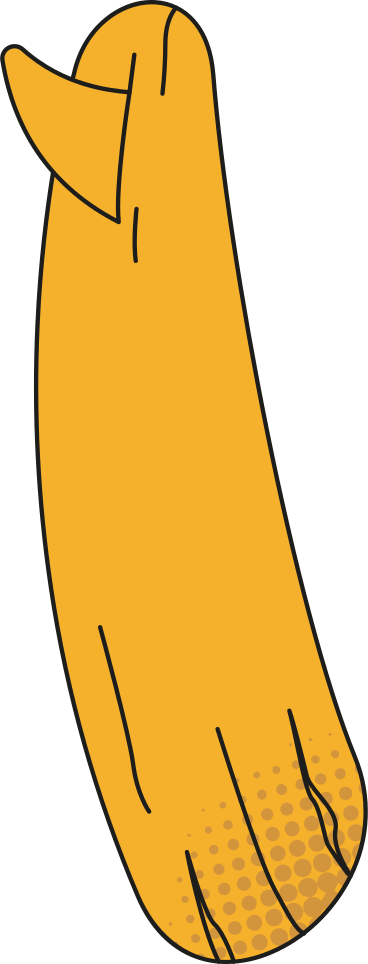 surfboard PNG, SVG