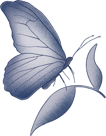 butterfly sitting on a leaf PNG, SVG