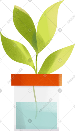 有植物的烧瓶 PNG, SVG