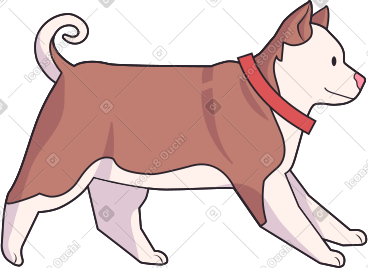 Little husky puppy PNG, SVG