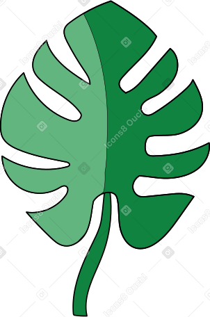 folha de palmeira PNG, SVG