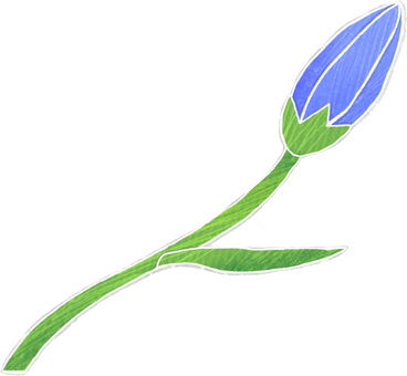 blue bell bud on a long stem PNG, SVG