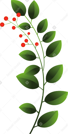 Большая зеленая ветка с красными ягодами в PNG, SVG
