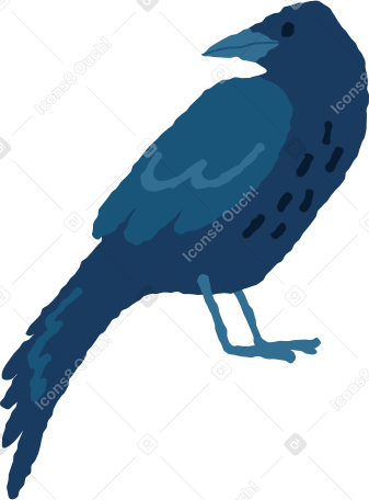 crow Illustration in PNG, SVG