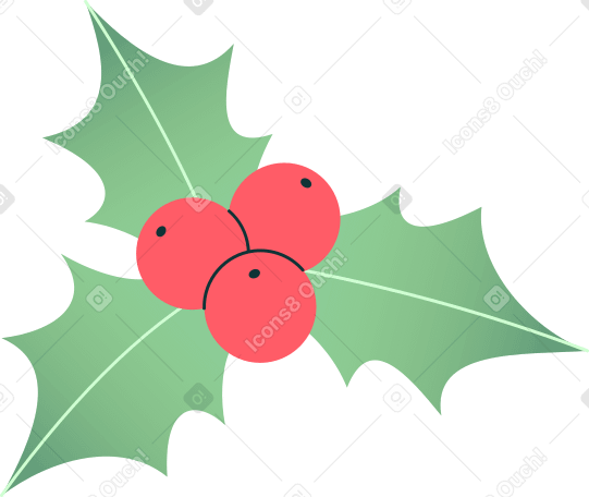 mistletoe Illustration in PNG, SVG