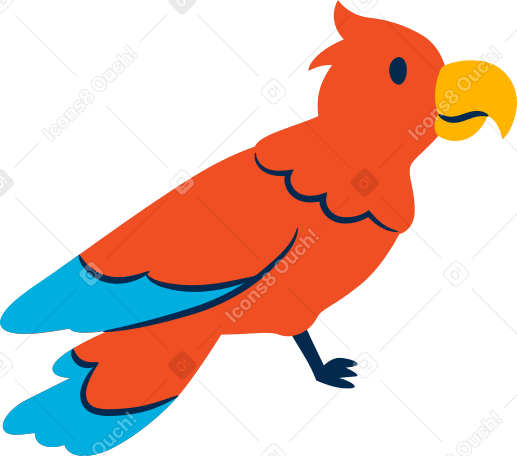 parrot Illustration in PNG, SVG
