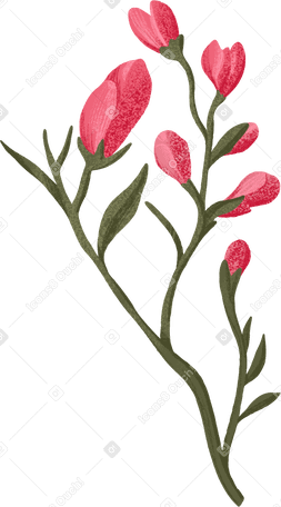 树枝上的玫瑰花蕾 PNG, SVG