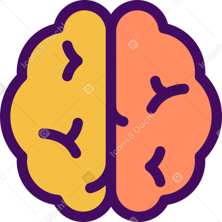cervello PNG, SVG
