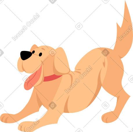 joyful labrador dog PNG, SVG