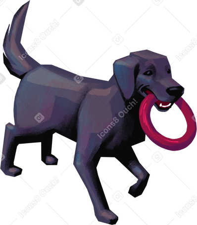black dog with a toy PNG, SVG
