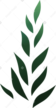 green algae Illustration in PNG, SVG