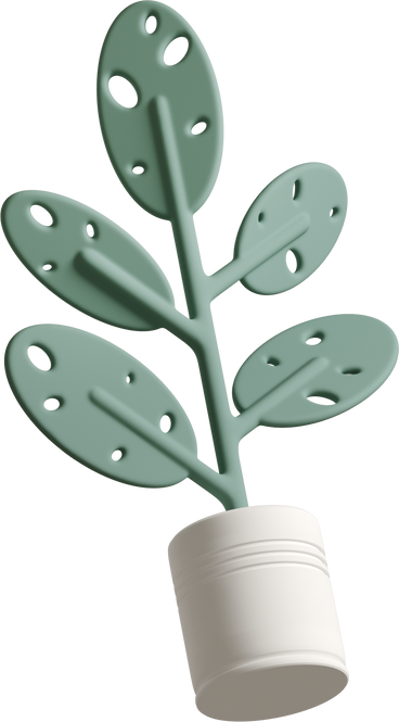 monstera plant with holes in its leaves PNG, SVG