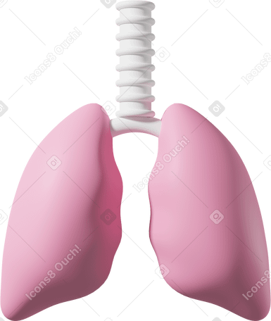3D 粉红色的肺 PNG, SVG