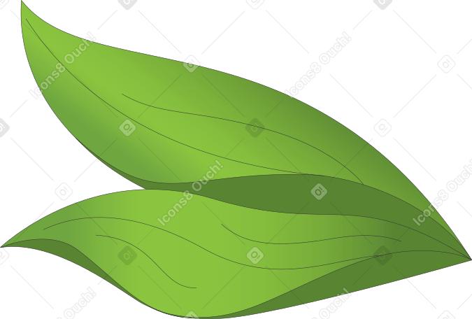 hojas de hierba gruesa PNG, SVG