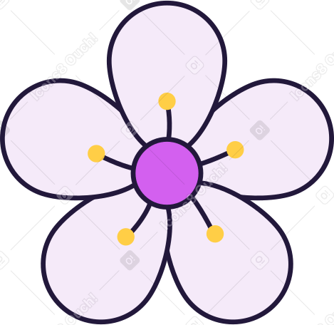 sakura flower PNG, SVG