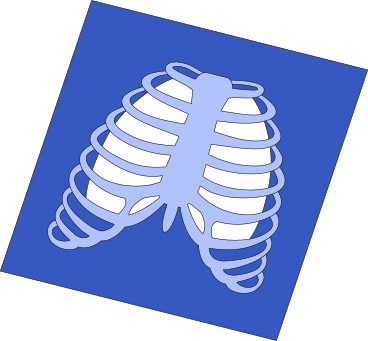 threed model of the chest and lungs PNG, SVG