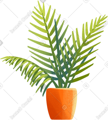 橙花盆中的金缕梅植物 PNG, SVG