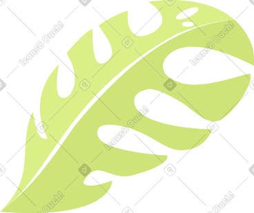 Monstera green leave PNG, SVG