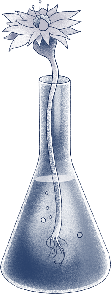Blume in einer flasche PNG, SVG
