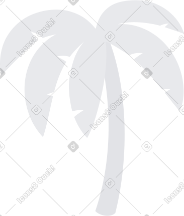 棕榈 PNG, SVG