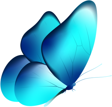 Butterfly PNG, SVG
