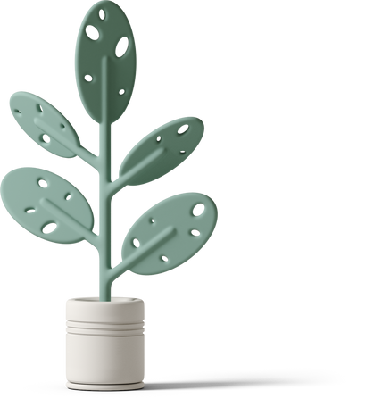 3D monstera plant with holes in white pot Illustration in PNG, SVG
